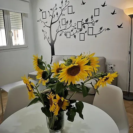 Senores Curas Apartment *
